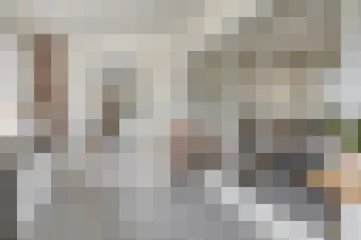 Kapelledreef 24 Clinge thumbnail 4