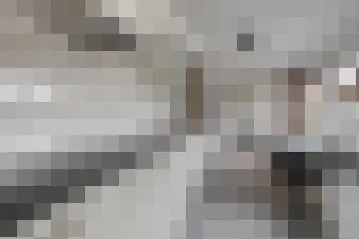 Kapelledreef 24 Clinge thumbnail 5
