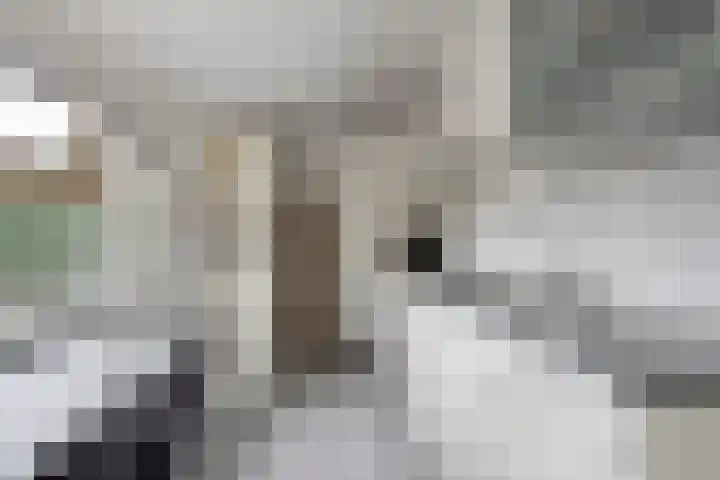 Kapelledreef 24 Clinge thumbnail 6