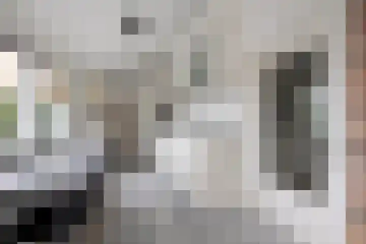 Kapelledreef 24 Clinge thumbnail 7