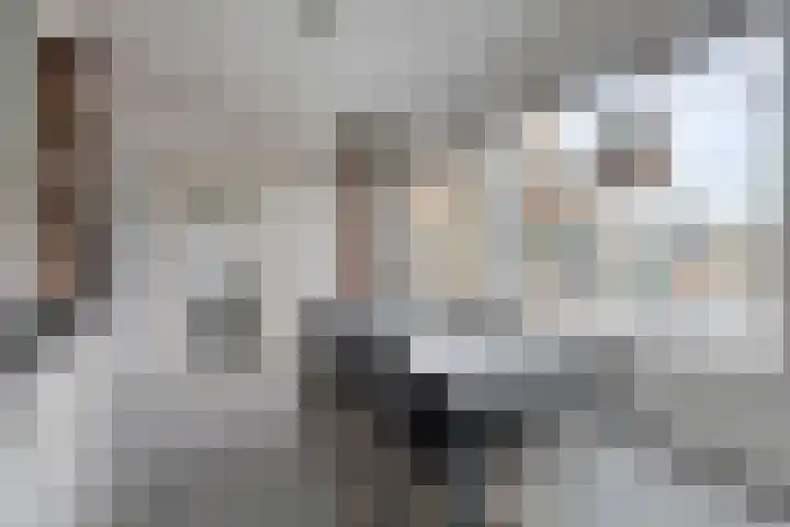 Kapelledreef 24 Clinge thumbnail 8