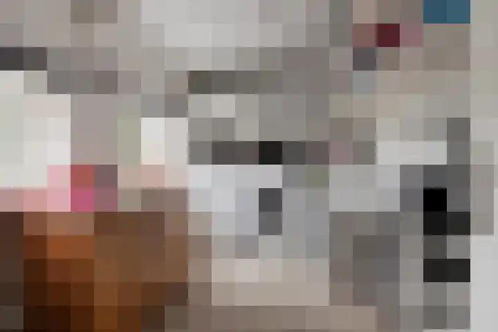 Kapelledreef 24 Clinge thumbnail 9