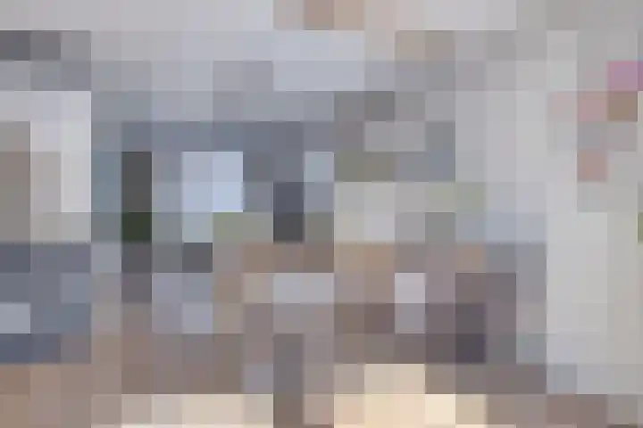 Kapelledries 11 Bergeijk thumbnail 11