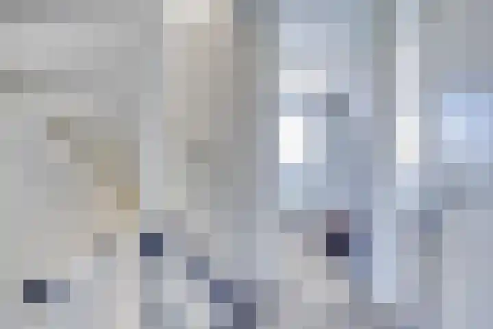 Kapelledries 11 Bergeijk thumbnail 16