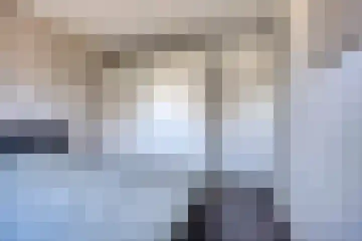 Kapelledries 11 Bergeijk thumbnail 18