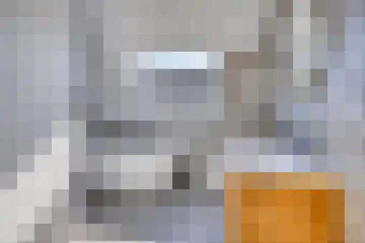 Kapelledries 11 Bergeijk thumbnail 21