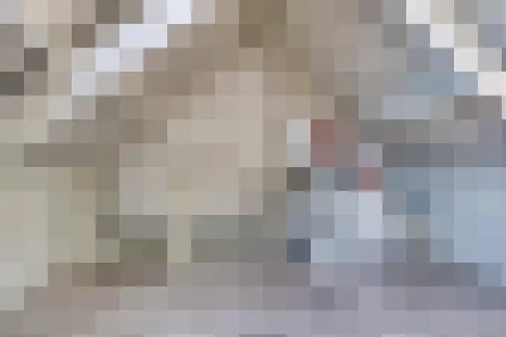 Kapelledries 11 Bergeijk thumbnail 27
