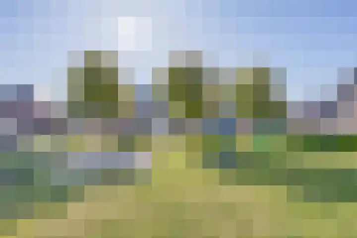 Kapelledries 11 Bergeijk thumbnail 31
