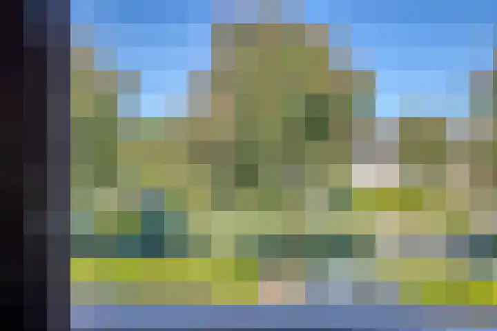 Kapelledries 11 Bergeijk thumbnail 32