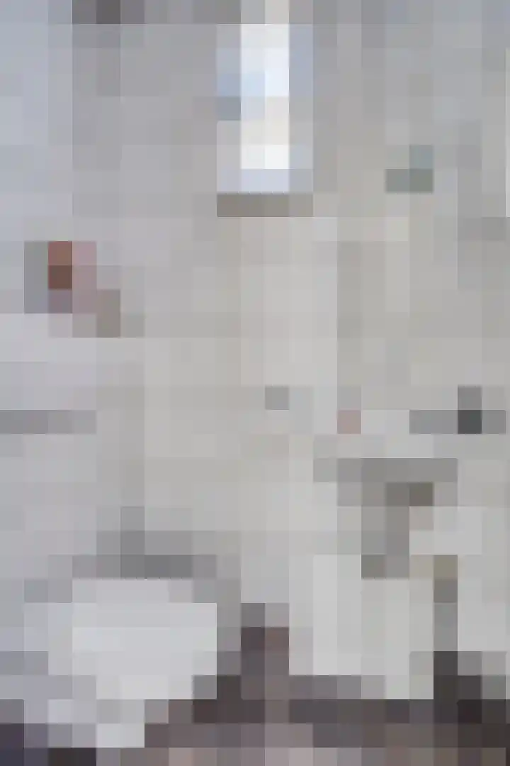 Kapelledries 11 Bergeijk thumbnail 5