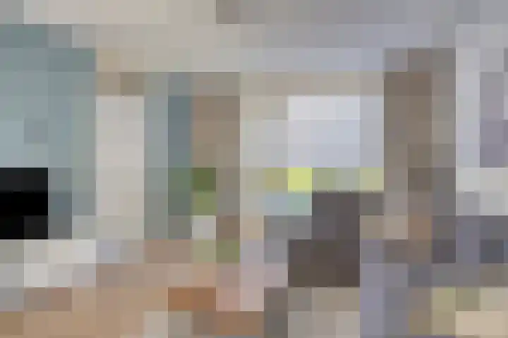 Kapelledries 11 Bergeijk thumbnail 8