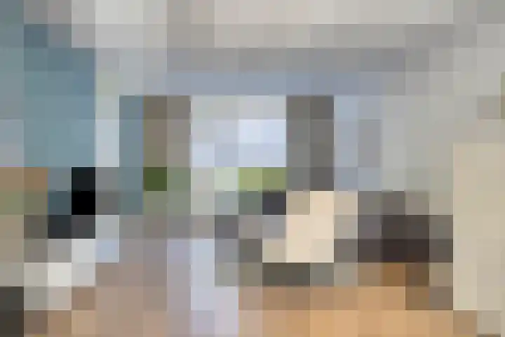 Kapelledries 11 Bergeijk thumbnail 9