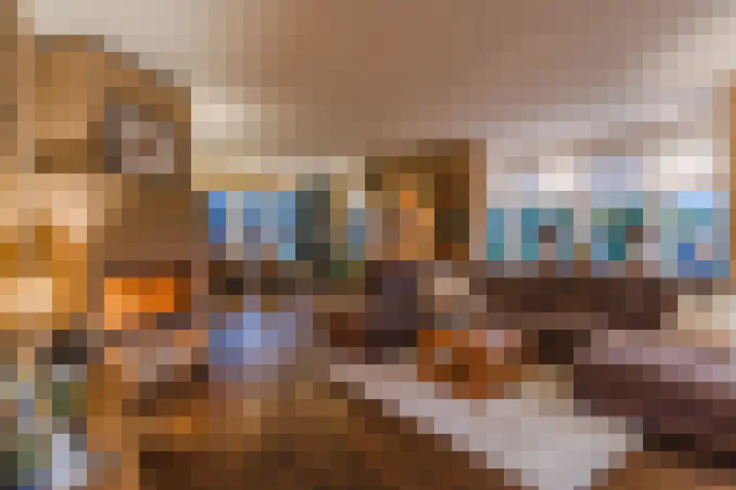 Kapelledries 2 a Bergeijk thumbnail 11
