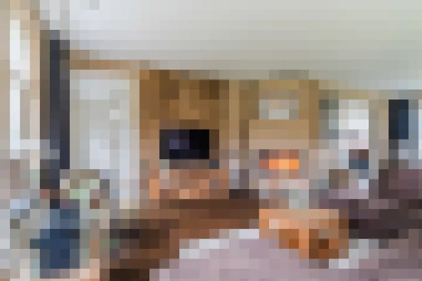 Kapelledries 2 a Bergeijk thumbnail 11