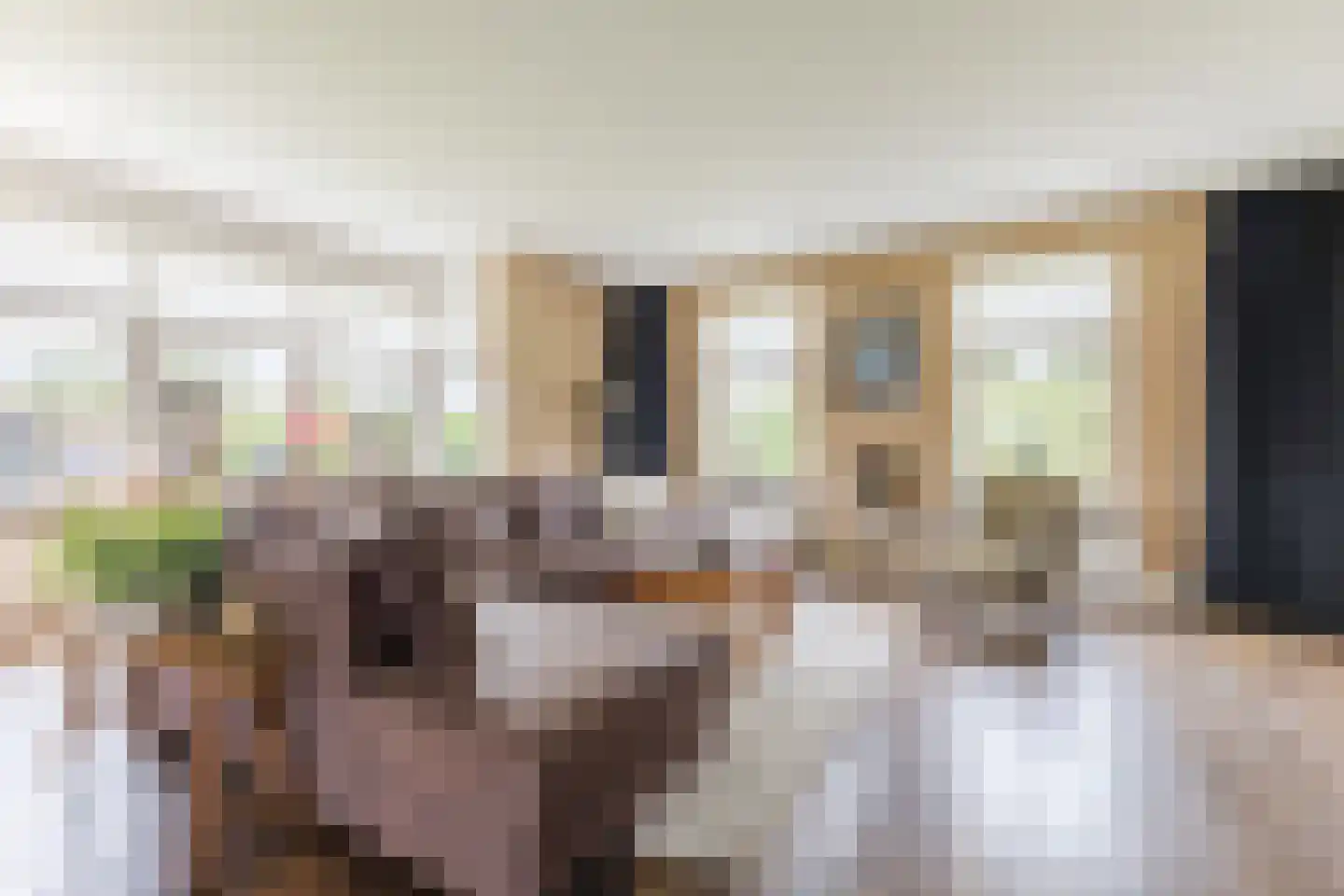 Kapelledries 2 a Bergeijk thumbnail 11