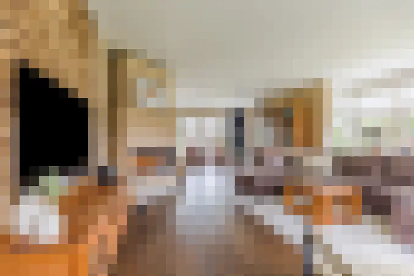 Kapelledries 2 a Bergeijk thumbnail 12