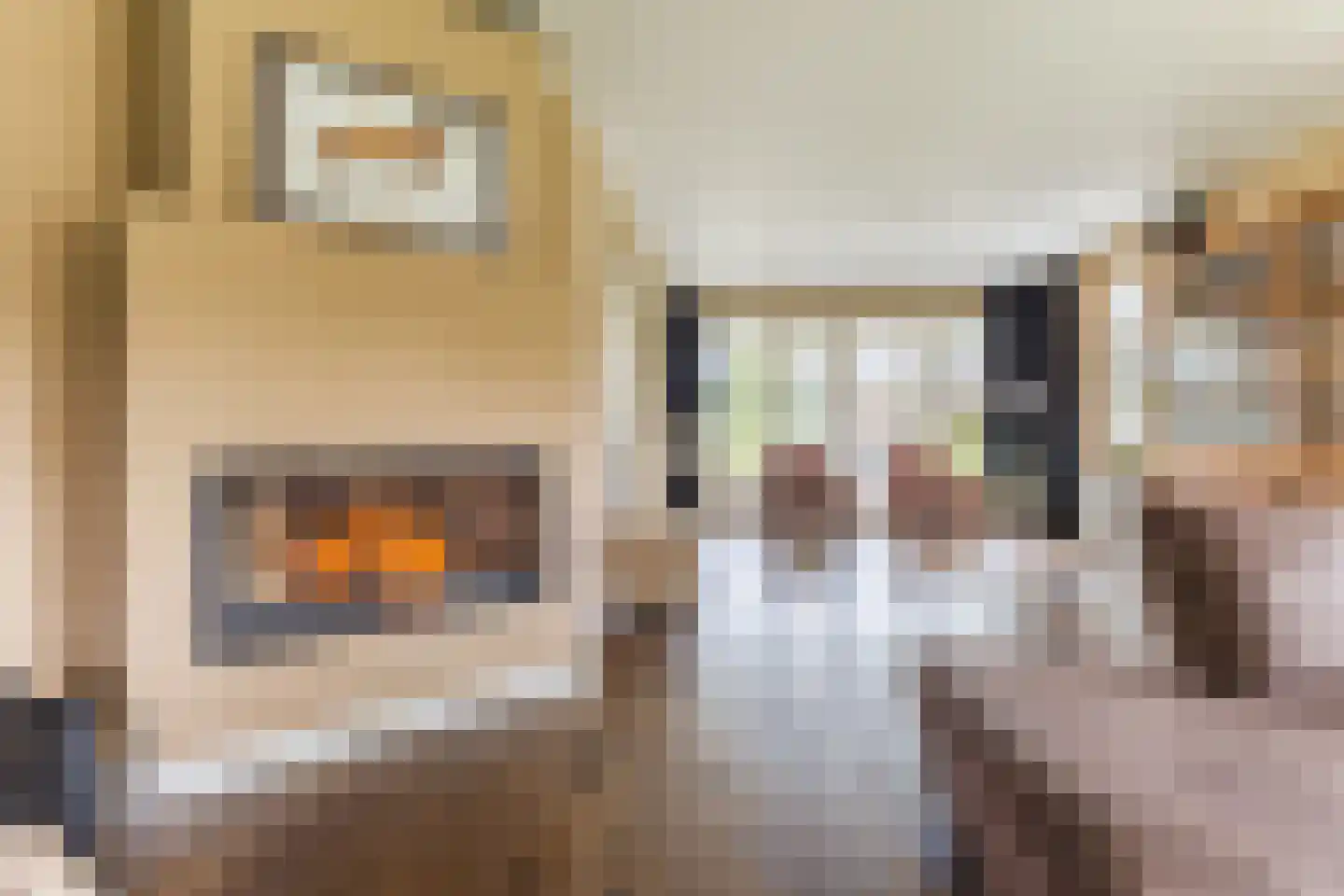 Kapelledries 2 a Bergeijk thumbnail 13