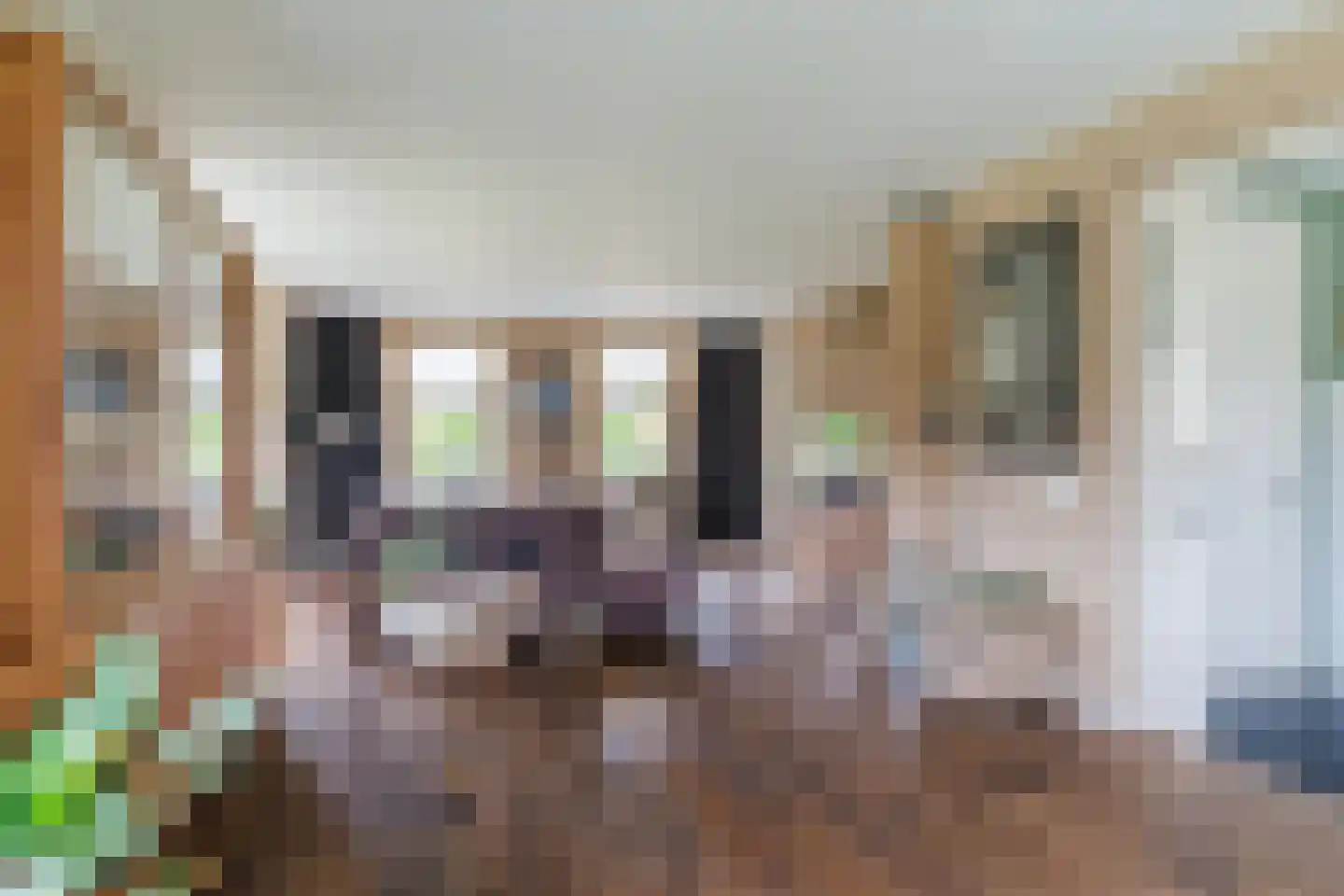 Kapelledries 2 a Bergeijk thumbnail 14