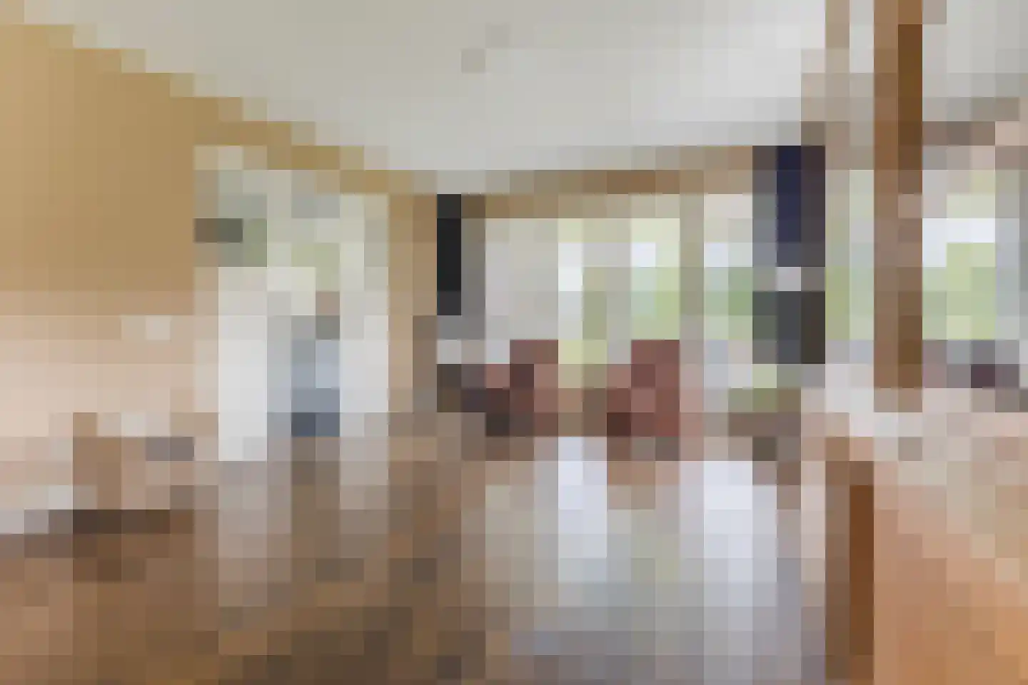 Kapelledries 2 a Bergeijk thumbnail 15