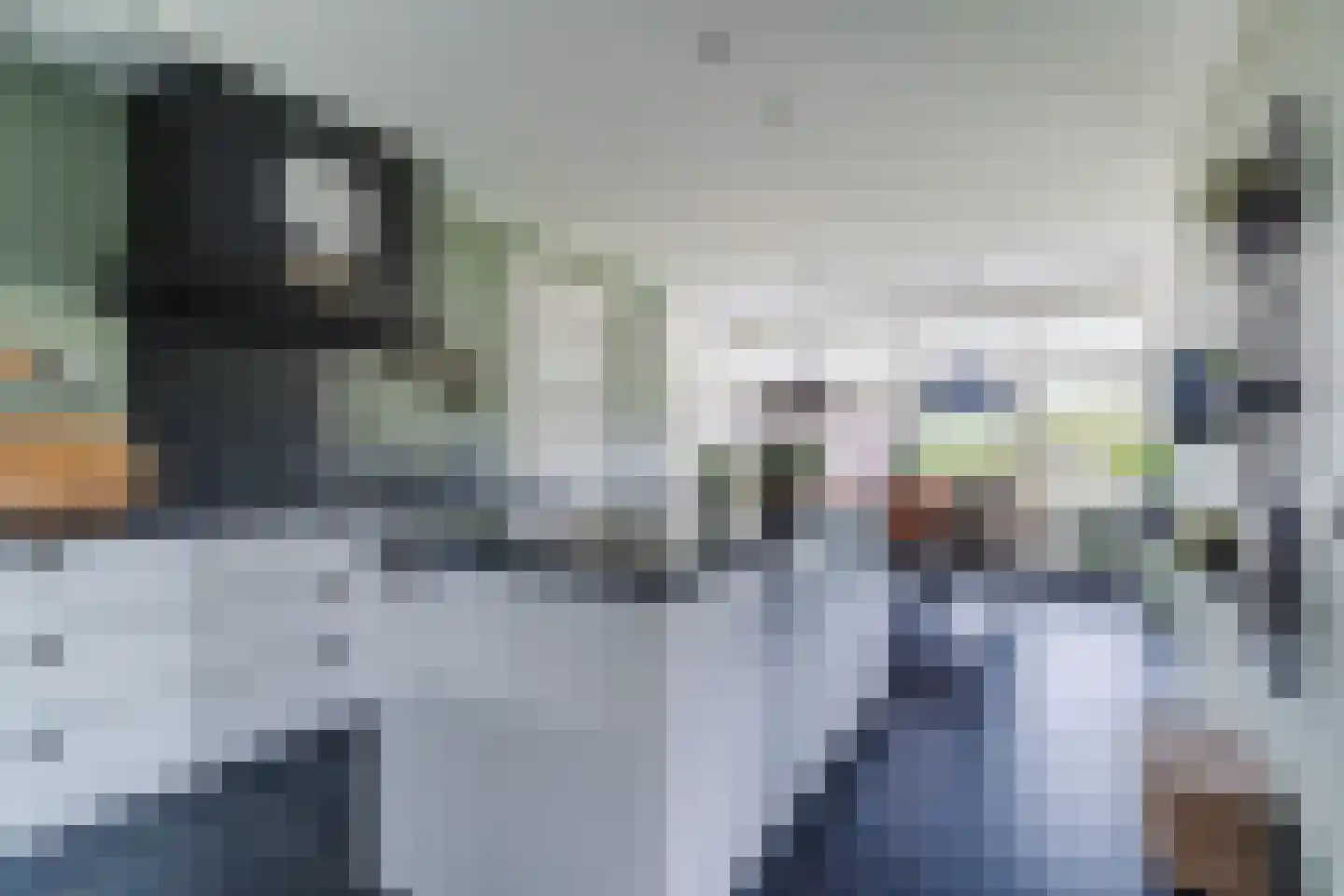 Kapelledries 2 a Bergeijk thumbnail 16