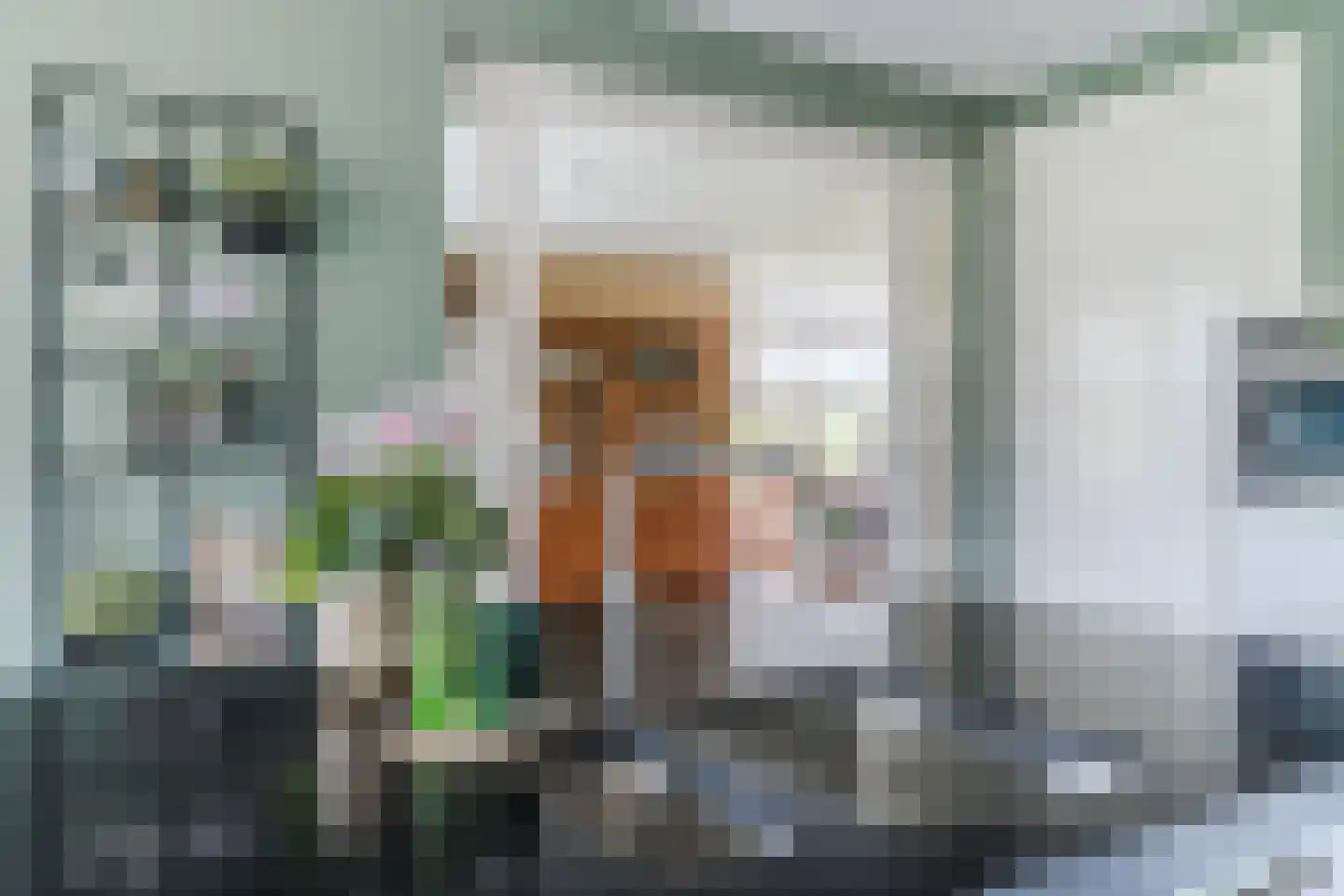 Kapelledries 2 a Bergeijk thumbnail 21