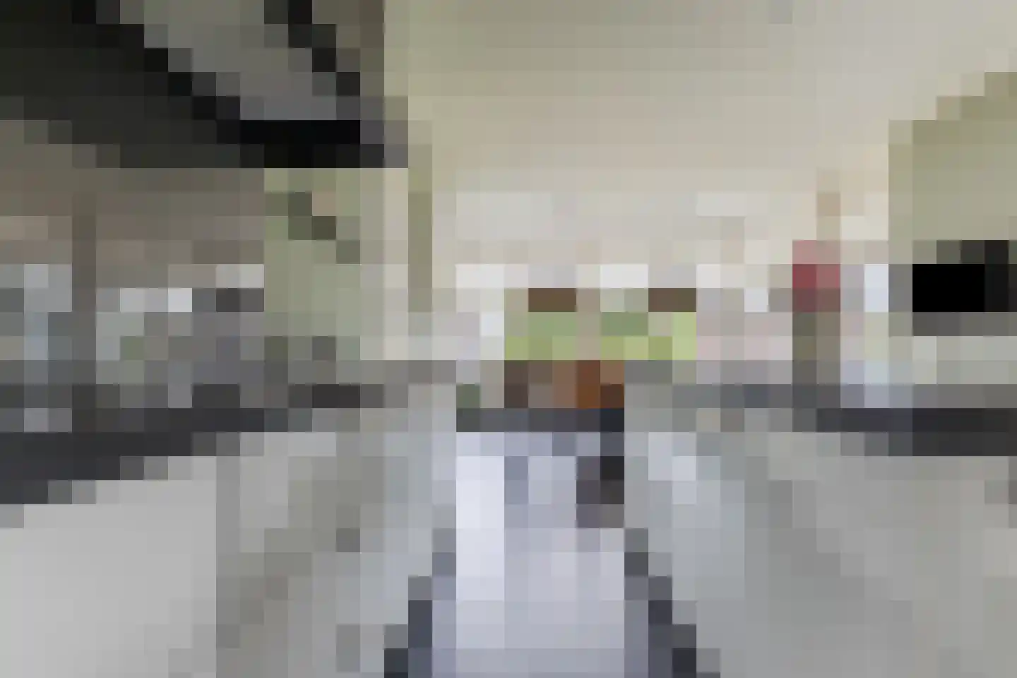 Kapelledries 2 a Bergeijk thumbnail 24