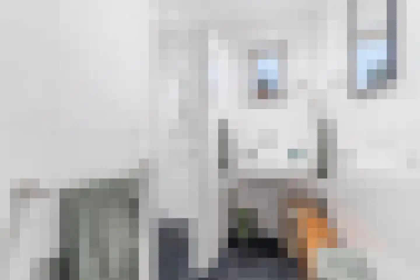 Kapelledries 2 a Bergeijk thumbnail 28
