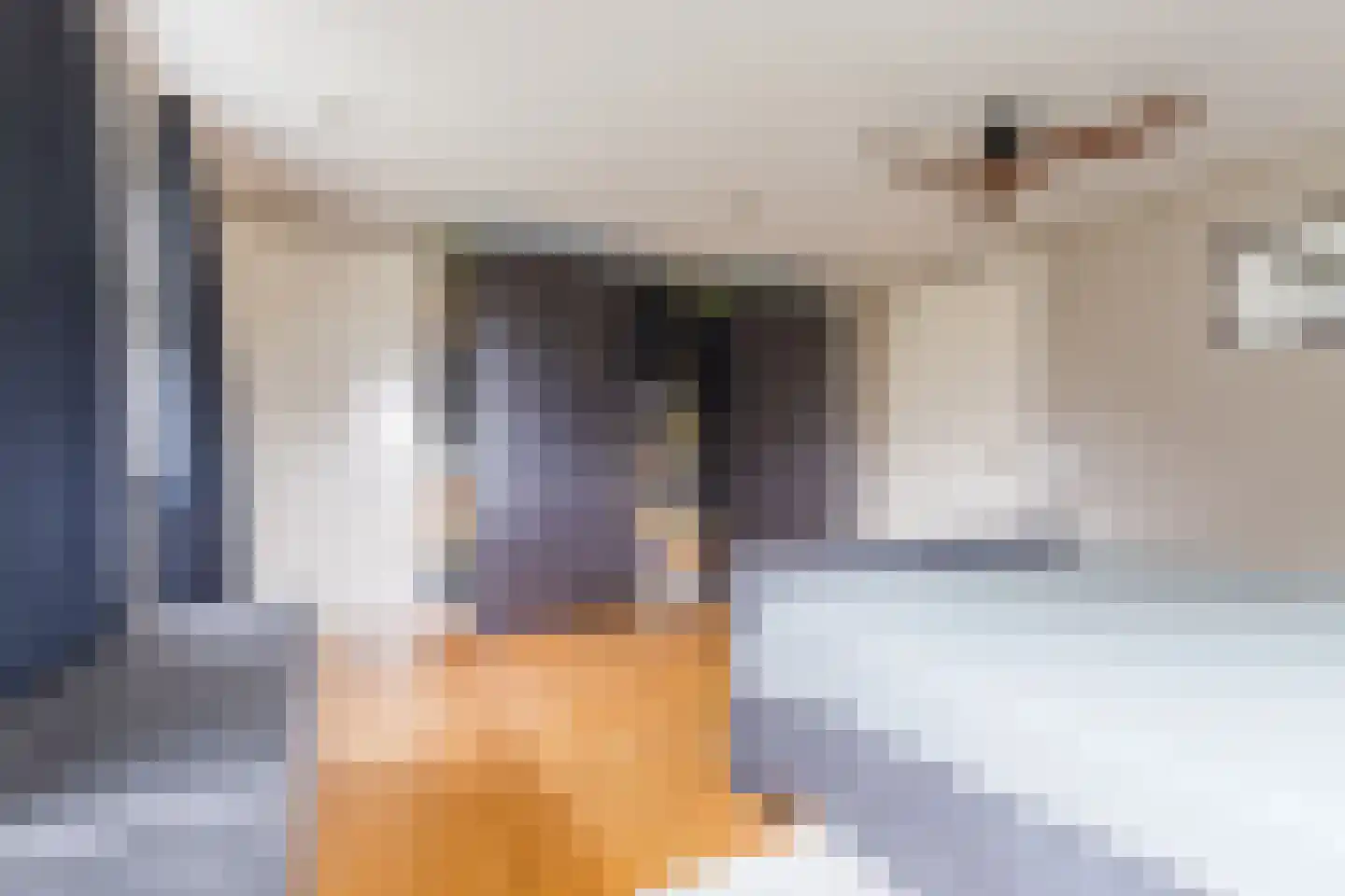 Kapelledries 2 a Bergeijk thumbnail 40