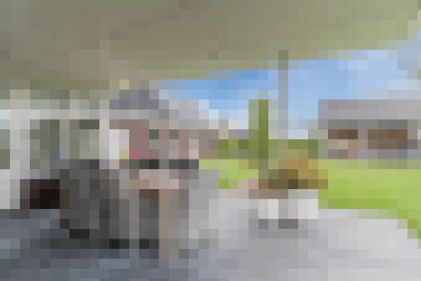 Kapelledries 2 a Bergeijk thumbnail 48