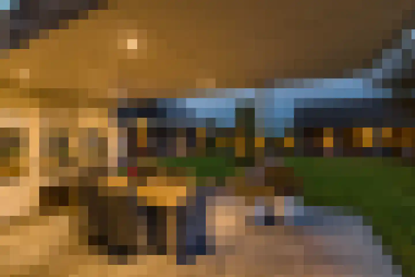 Kapelledries 2 a Bergeijk thumbnail 49