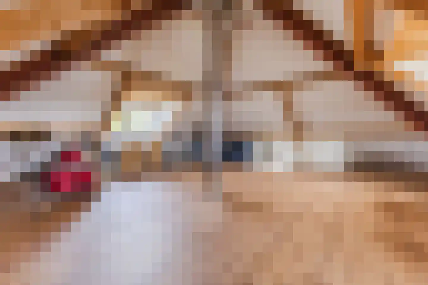 Kapelledries 2 a Bergeijk thumbnail 64