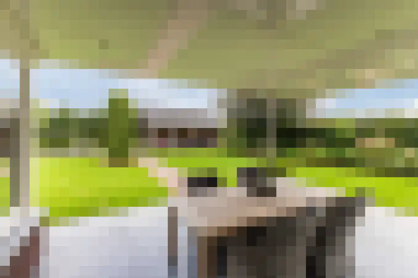 Kapelledries 2 a Bergeijk thumbnail 65
