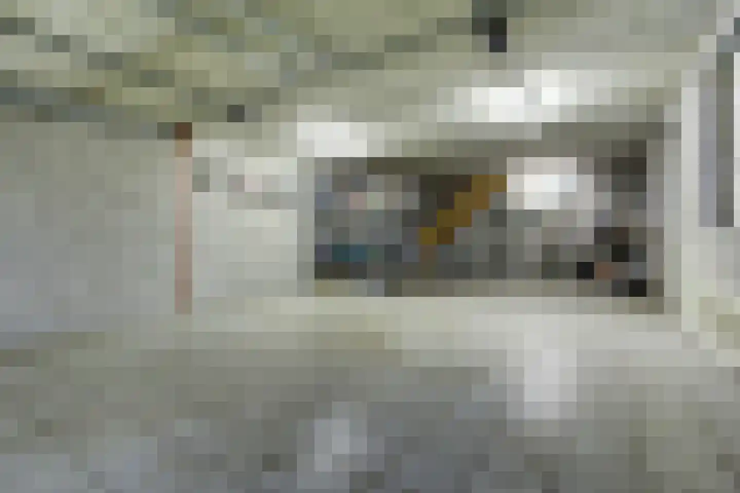 Kapelledries 2 a Bergeijk thumbnail 68