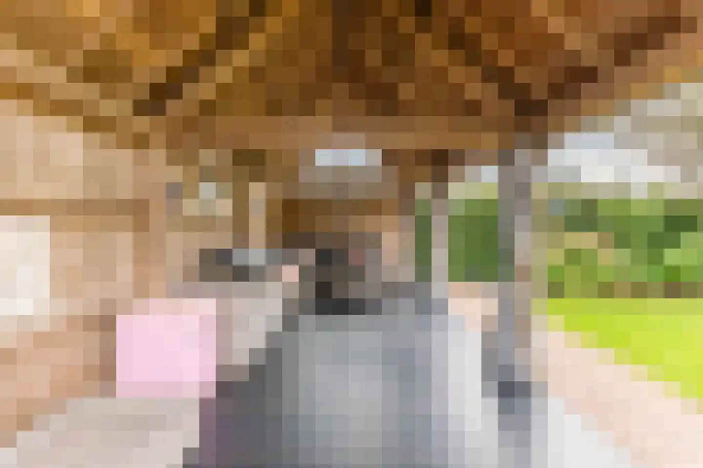 Kapelledries 2 a Bergeijk thumbnail 71
