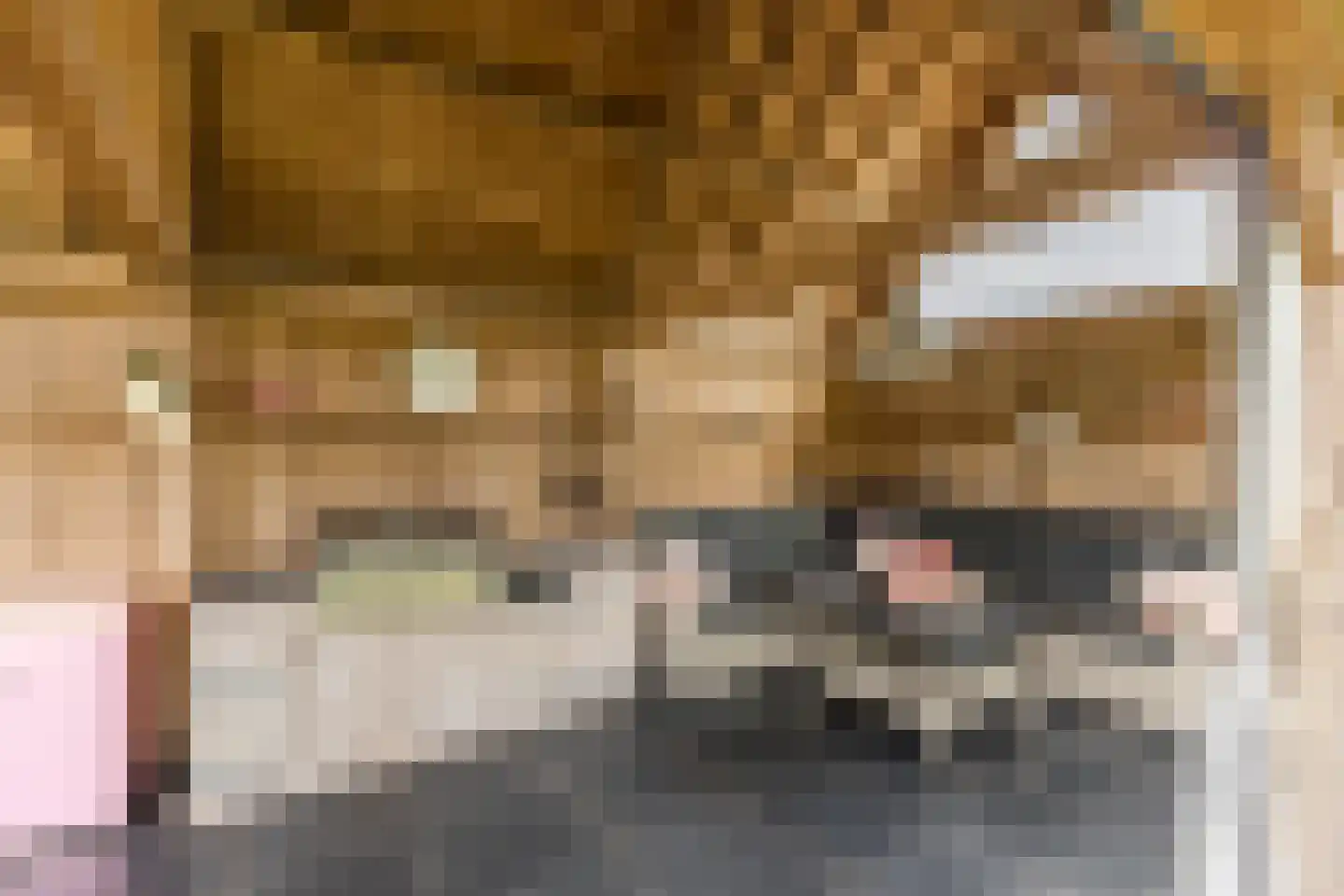 Kapelledries 2 a Bergeijk thumbnail 72