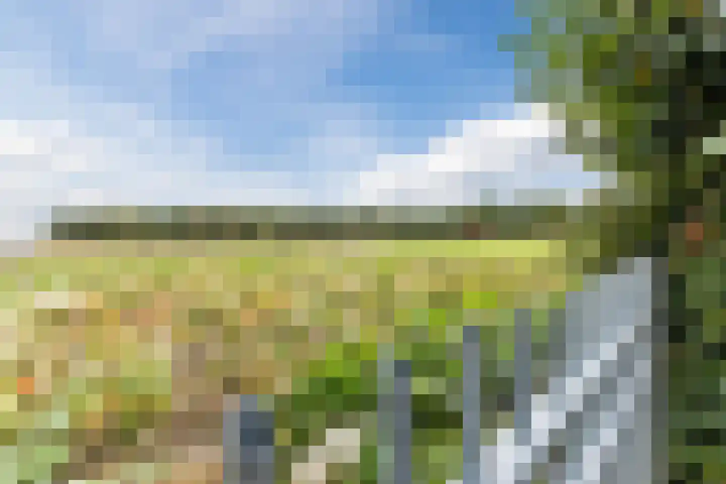 Kapelledries 2 a Bergeijk thumbnail 78