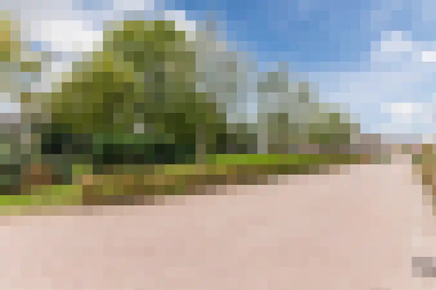 Kapelledries 2 a Bergeijk thumbnail 87