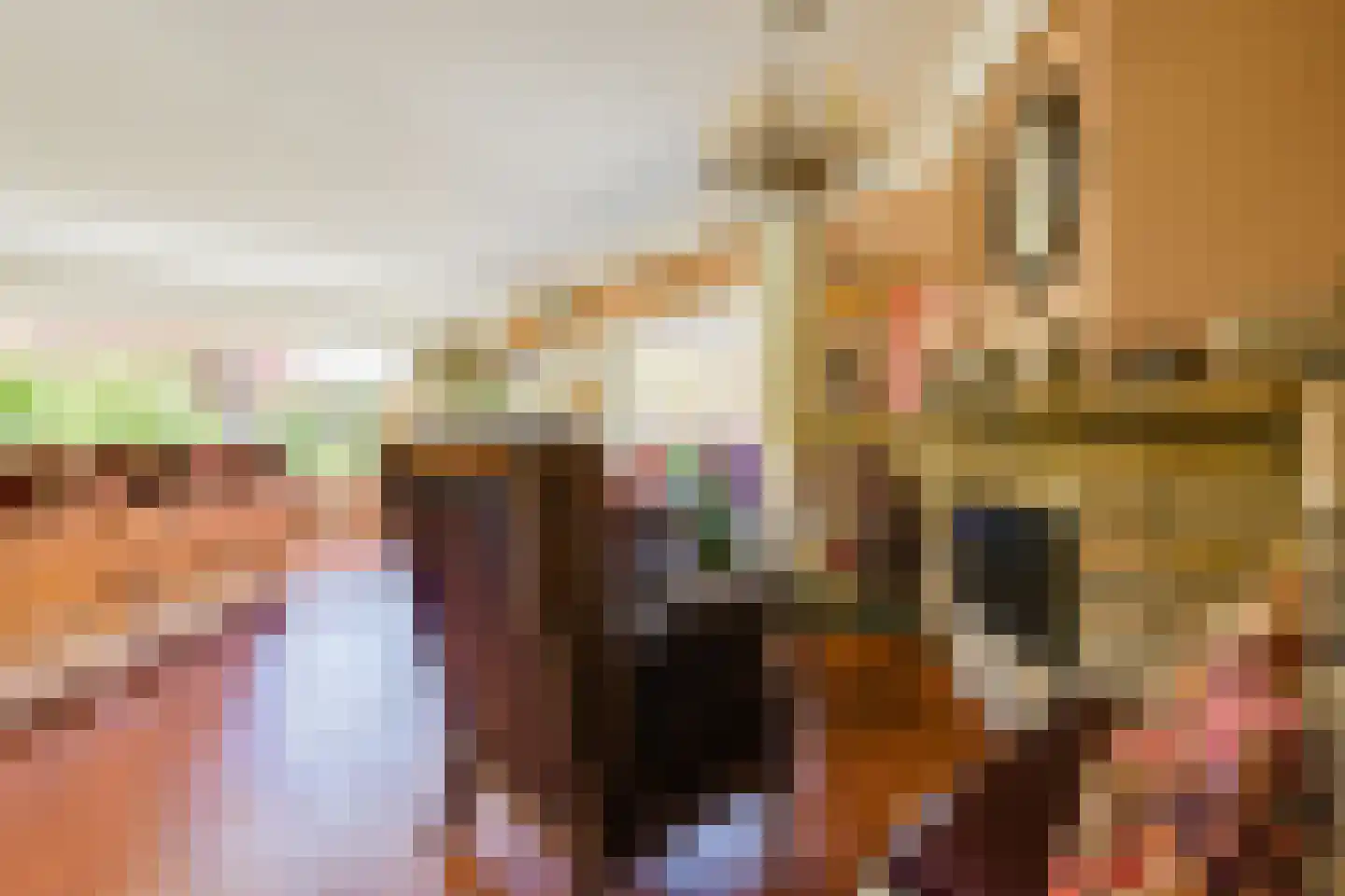 Kapellenkamp 63 Welsum thumbnail 10