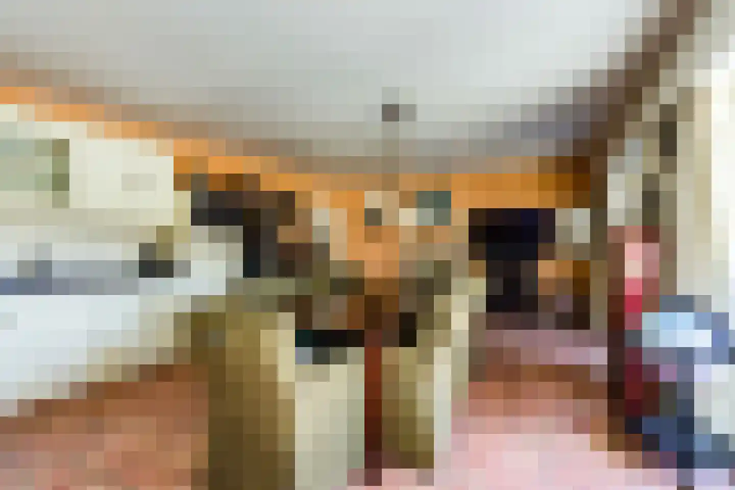 Kapellenkamp 63 Welsum thumbnail 18