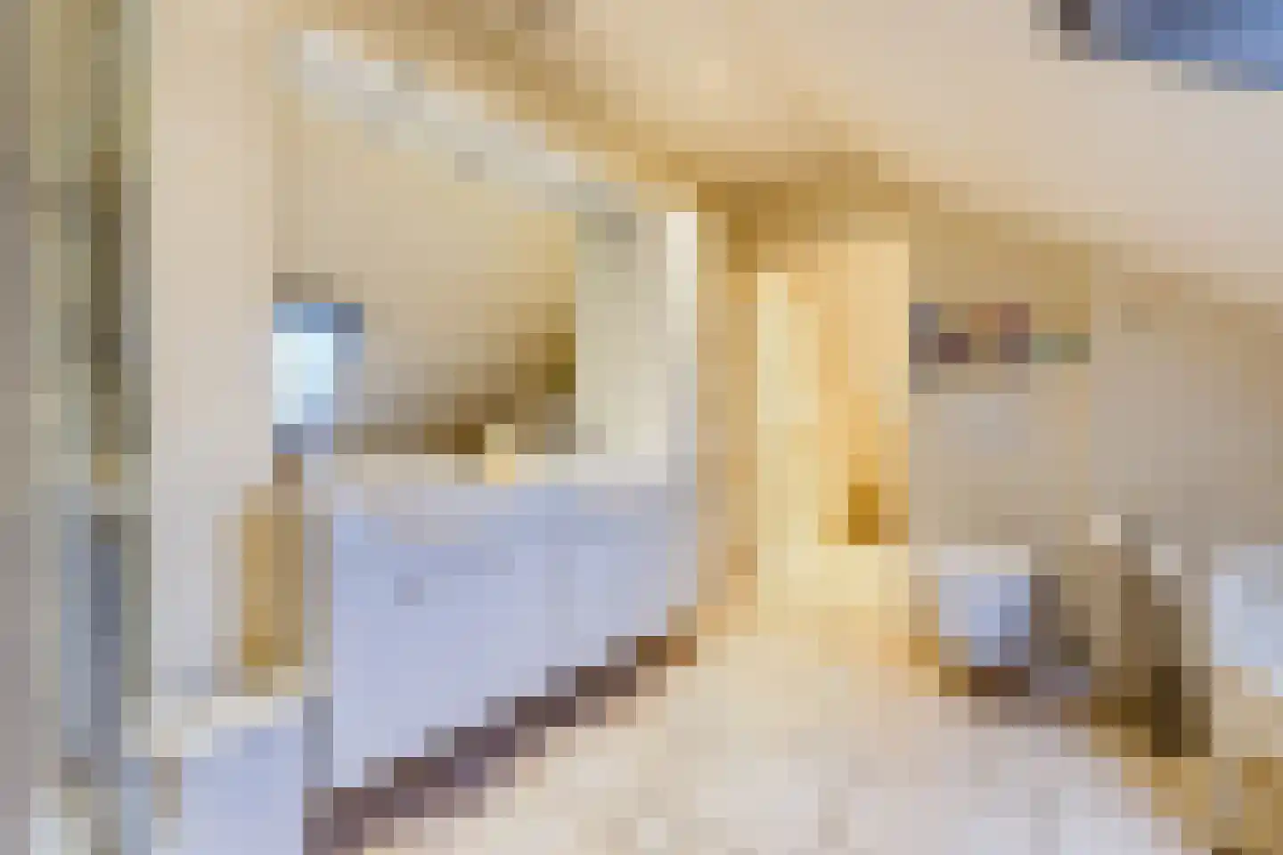 Kapellenkamp 63 Welsum thumbnail 32