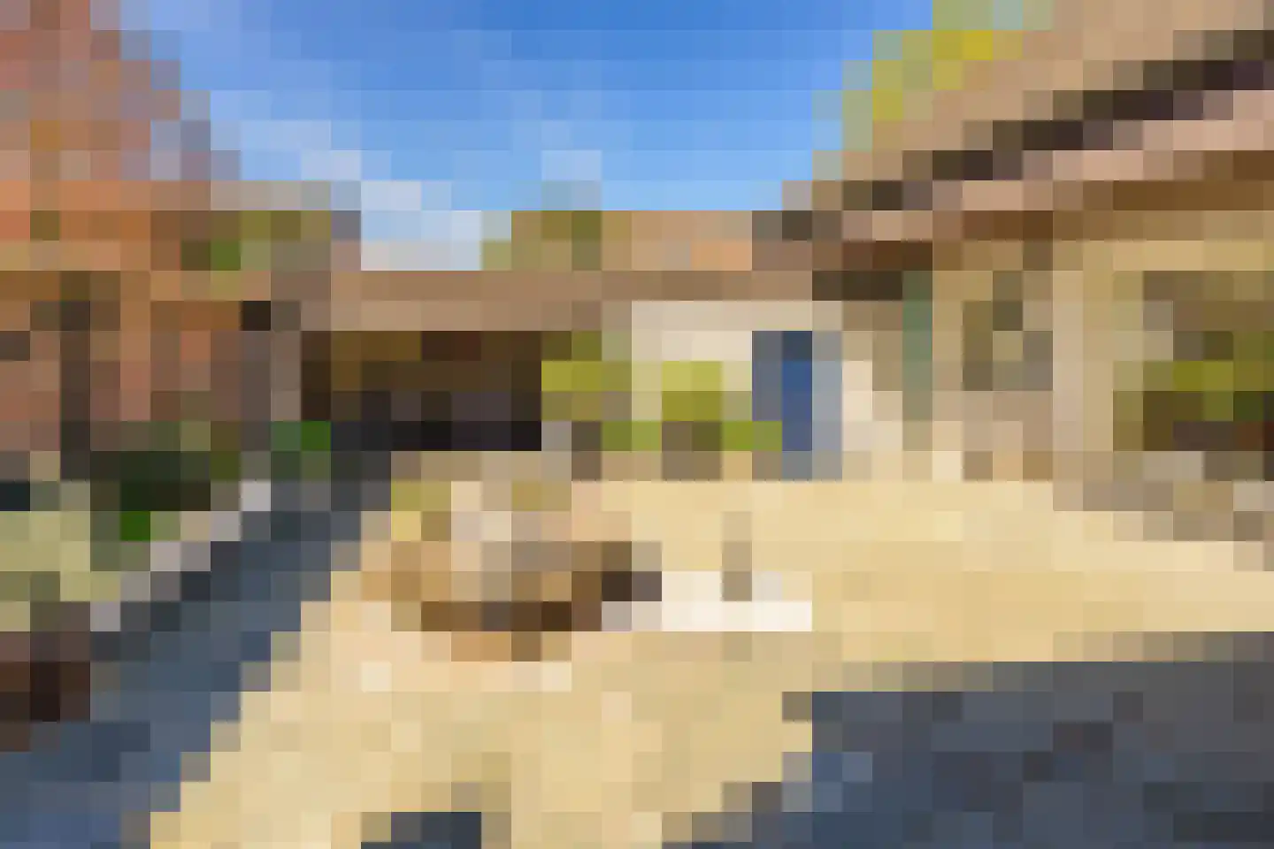 Kapellenkamp 63 Welsum thumbnail 51