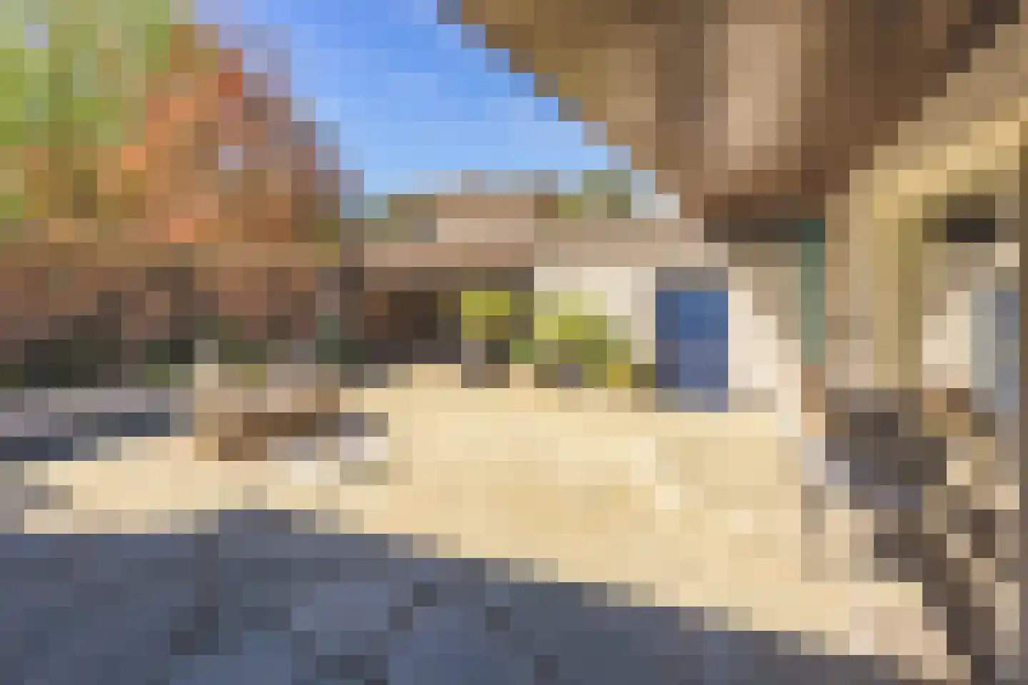 Kapellenkamp 63 Welsum thumbnail 52