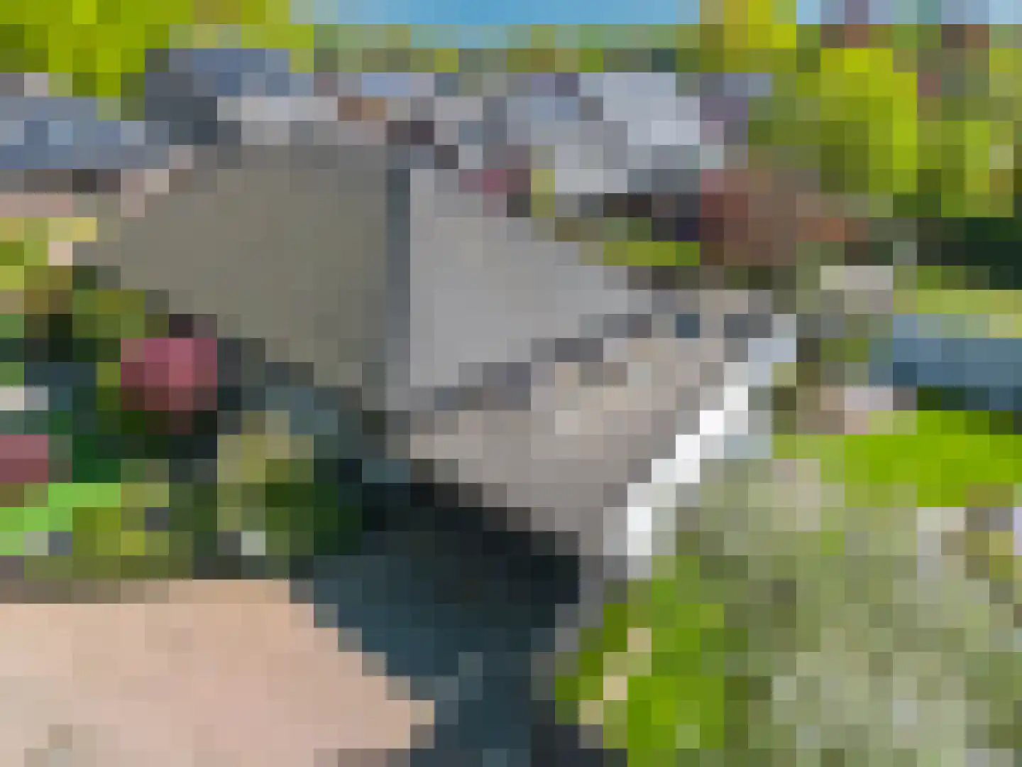 Kapellenkamp 63 Welsum thumbnail 72