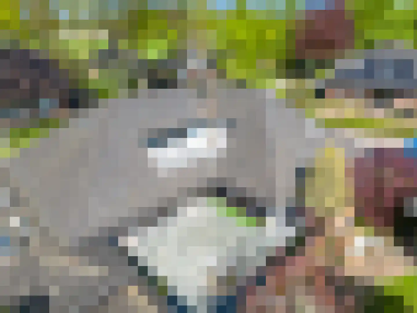 Kapellenkamp 63 Welsum thumbnail 74