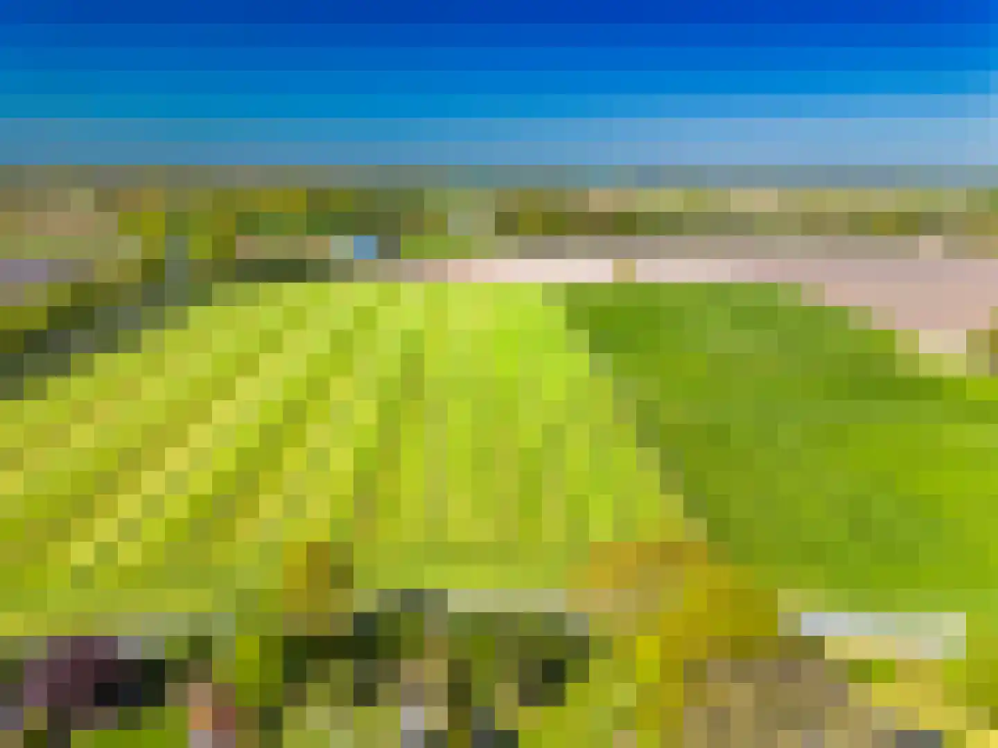 Kapellenkamp 63 Welsum thumbnail 80