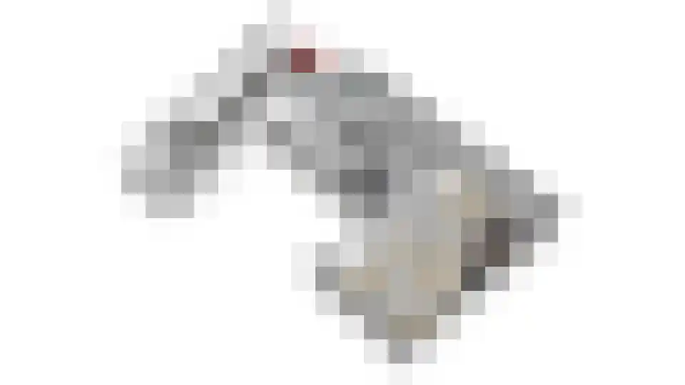 Kapellenkamp 63 Welsum thumbnail 84