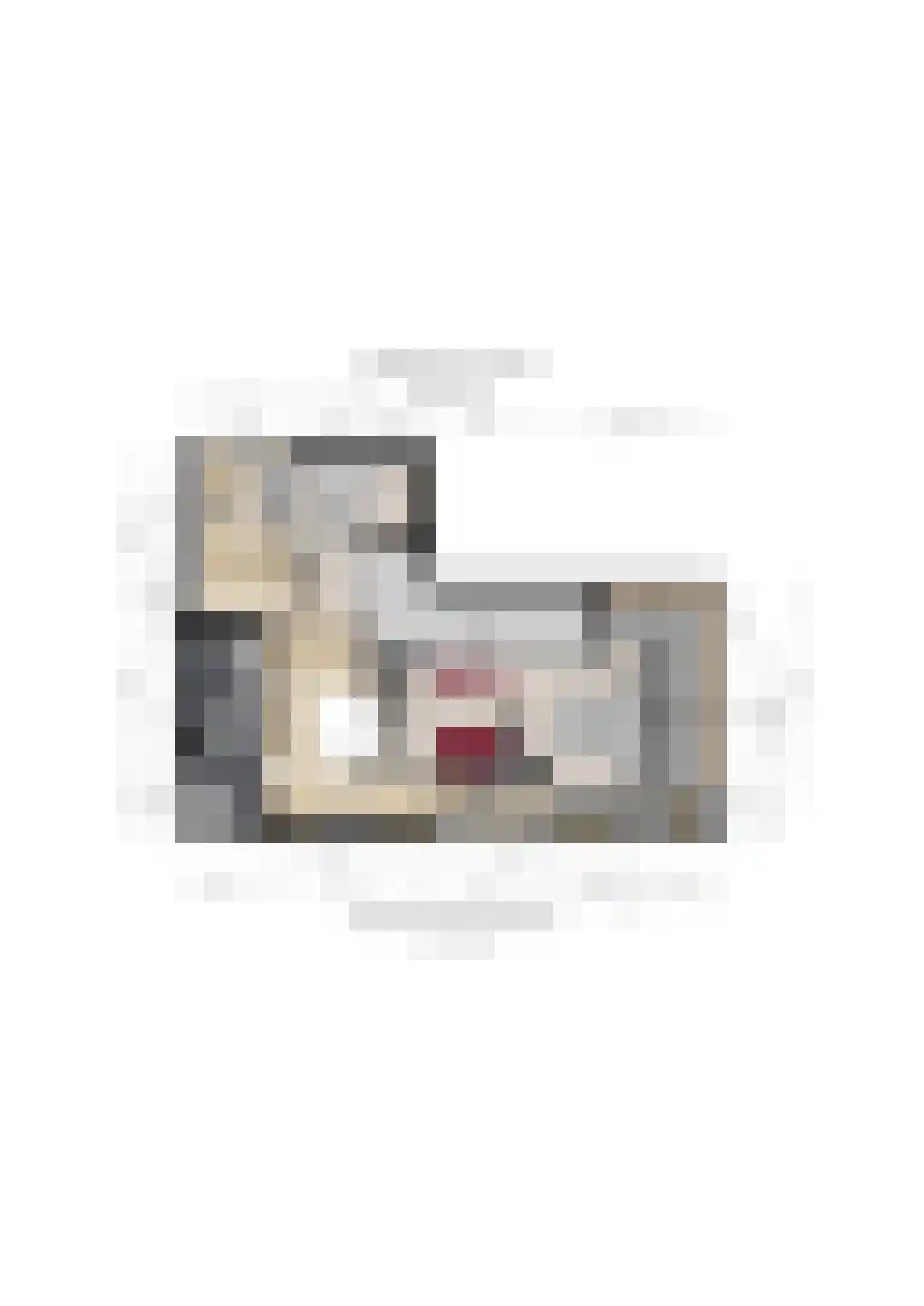 Kapellenkamp 63 Welsum thumbnail 89