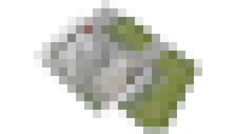 Kapellenkamp 63 Welsum thumbnail 93