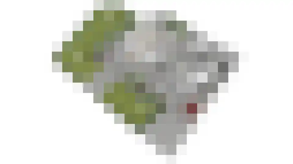 Kapellenkamp 63 Welsum thumbnail 94