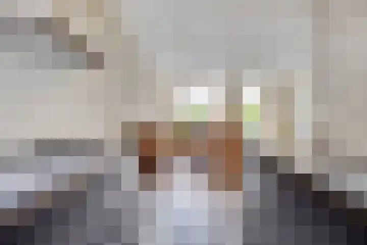 Kapellerhof 31 Roermond thumbnail 12